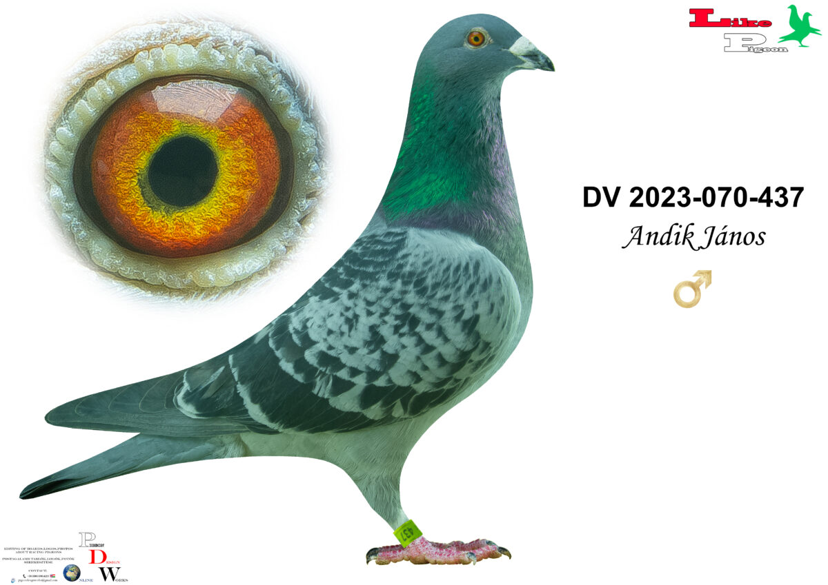 DV-2023-070-437 H Andik János