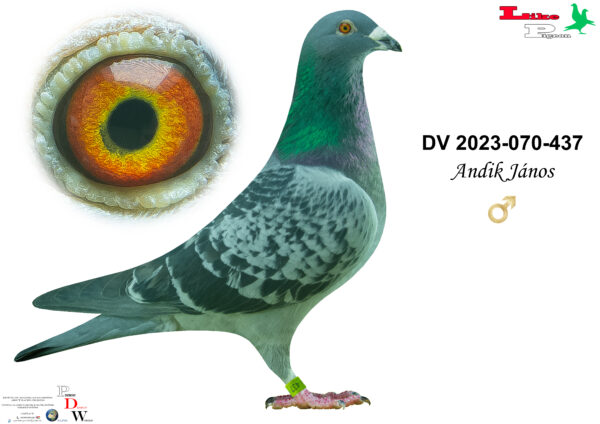 DV-2023-070-437 H Andik János