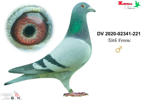 DV-2020-02341-221 H    Tóth Ferenc
