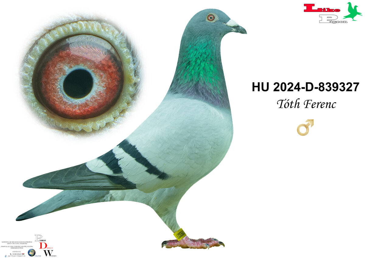 HU-2024-D-839327 H Tóth Ferenc