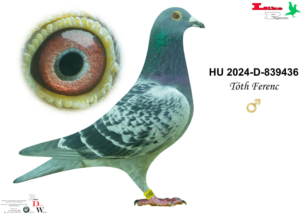 HU-2024-D-839436 H Tóth Ferenc