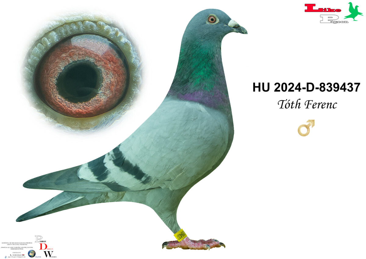 HU-2024-D-839437 H Tóth Ferenc