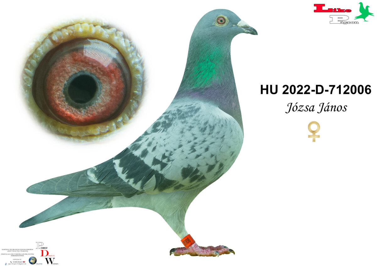 HU-2022-D-712006 T Józsa János