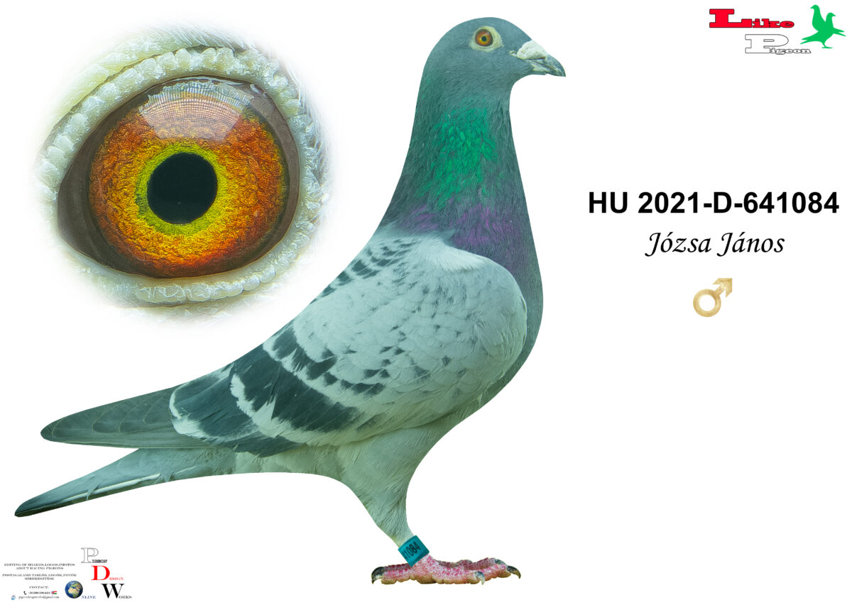 HU-2021-D-641084 H Józsa János