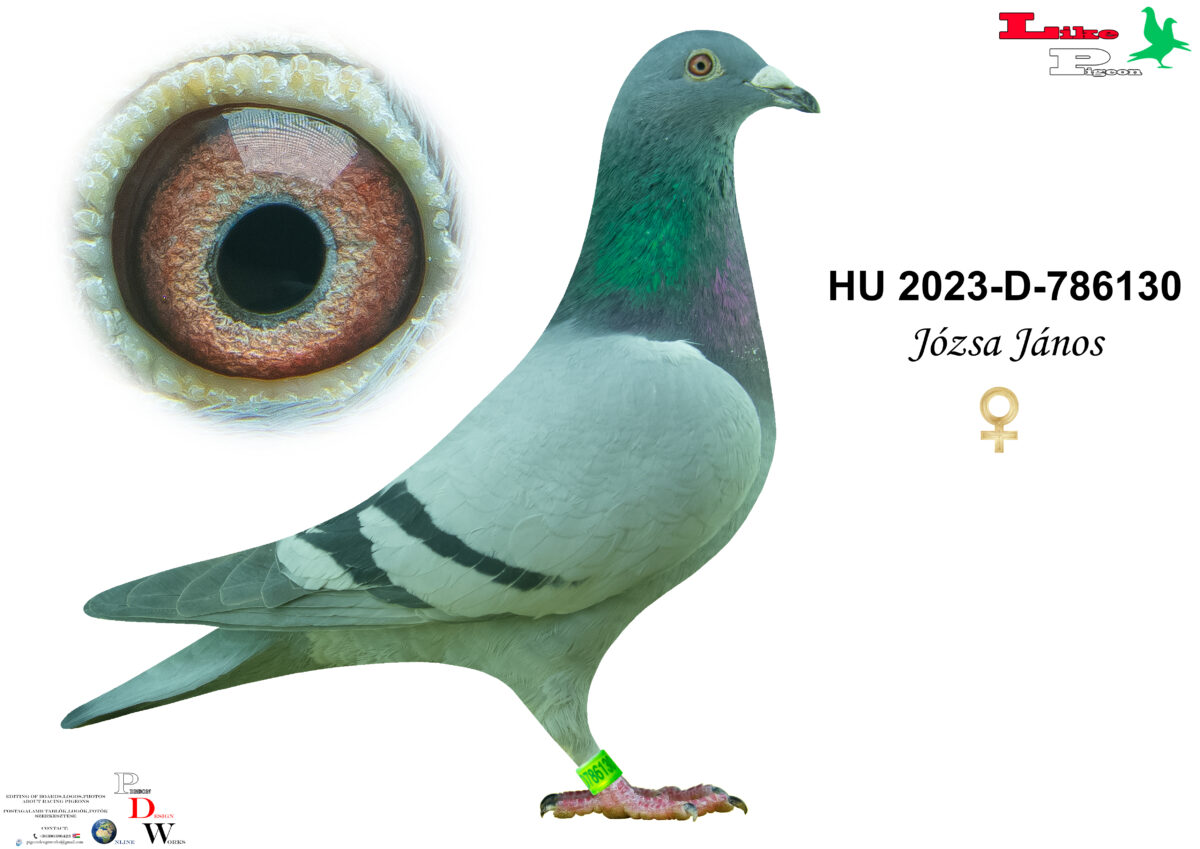 HU-2023-D-786130 T Józsa János