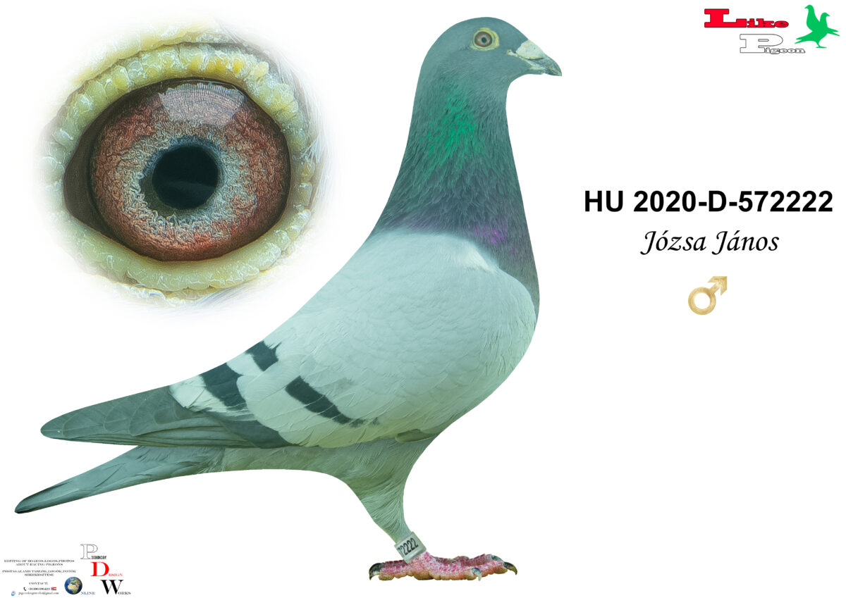 HU-2020-D-572222 H Józsa János