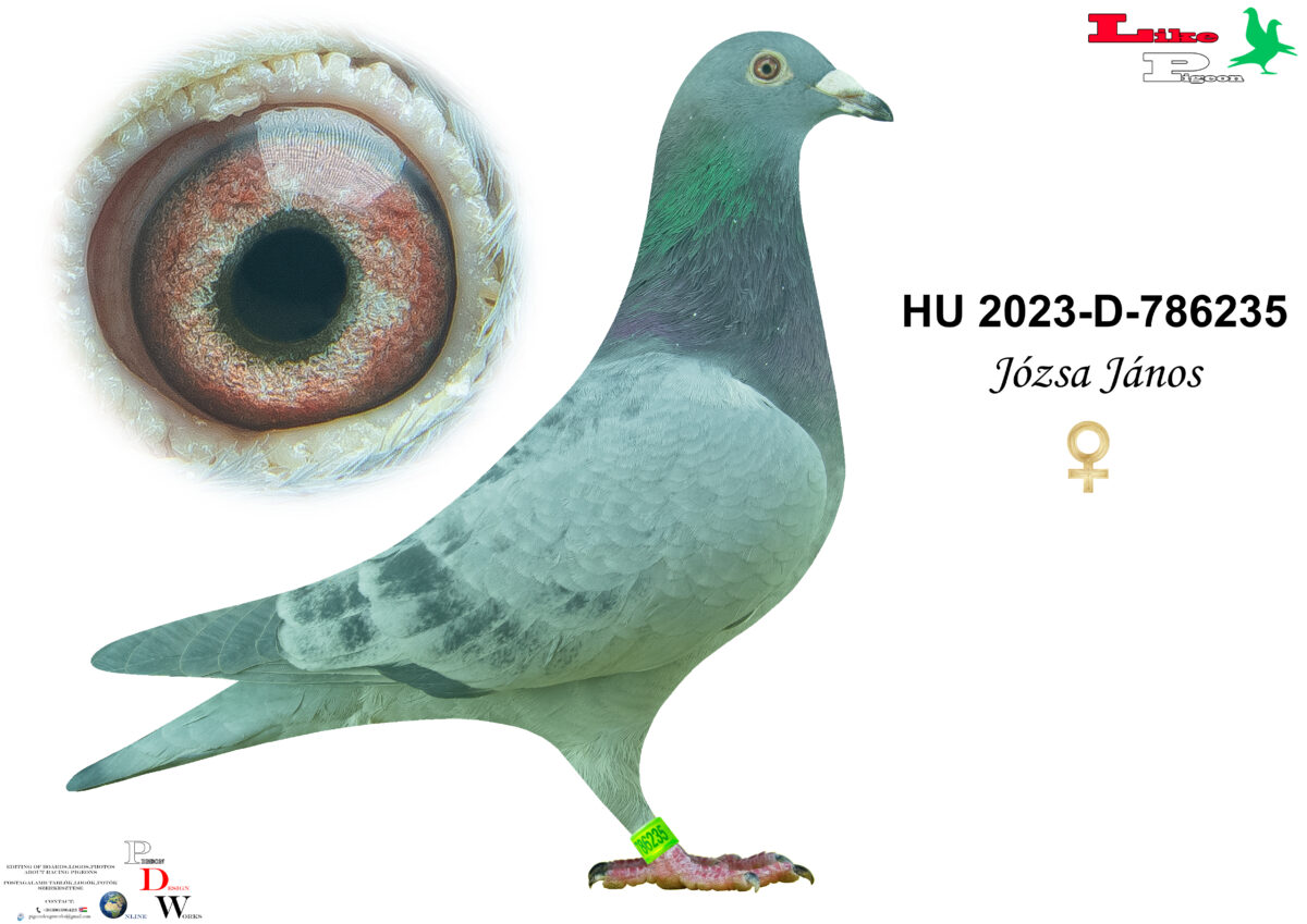 HU-2023-D-786235 T Józsa János