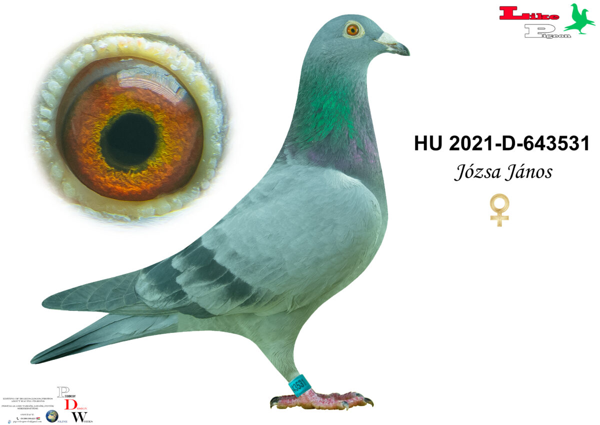 HU-2021-D-643531 T Józsa János