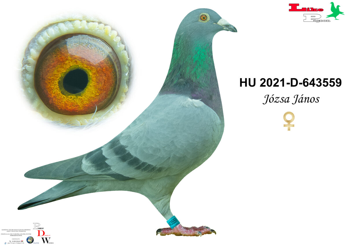 HU-2021-D-643559 T Józsa János