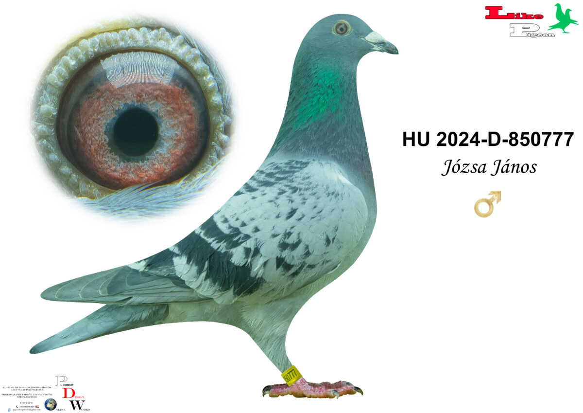 HU-2024-D-850777 H Józsa János