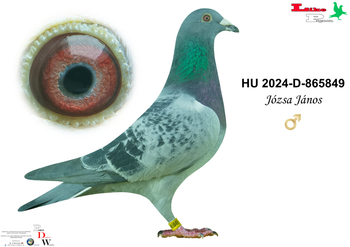 HU-2024-D-865849 H Józsa János