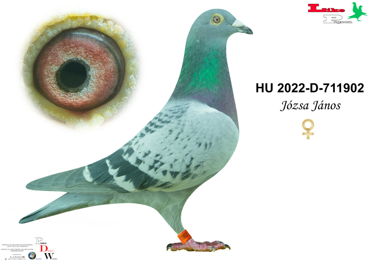 HU-2022-D-711902 T Józsa János