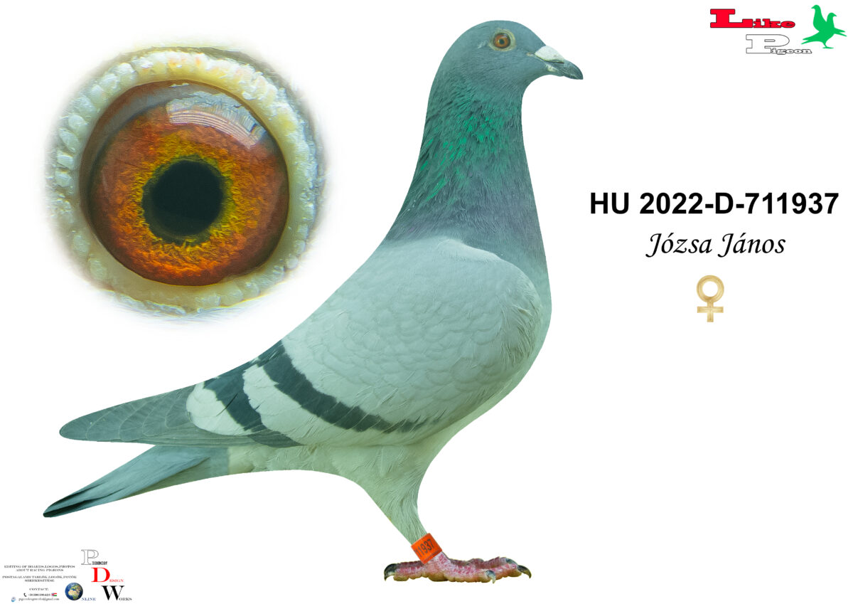 HU-2022-D-711937 T Józsa János