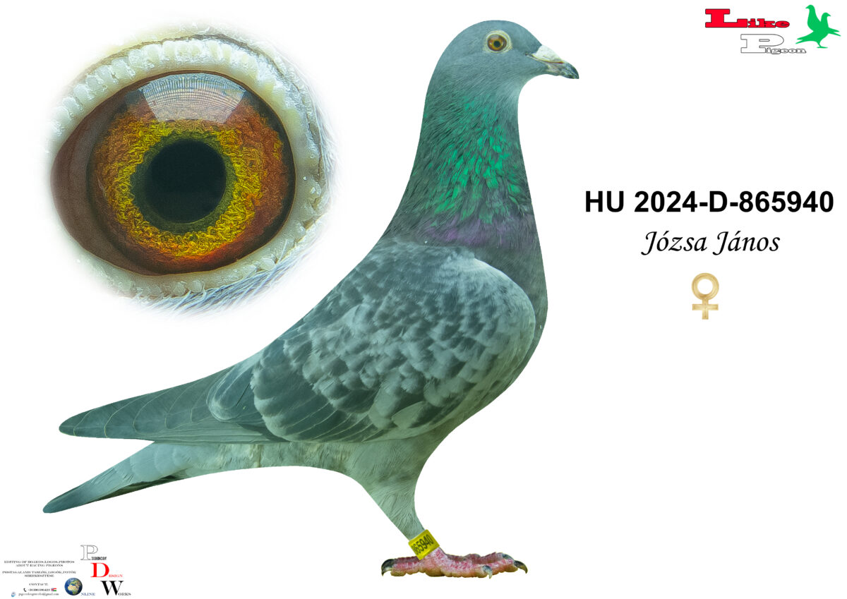 HU-2024-D-865940 T Józsa János