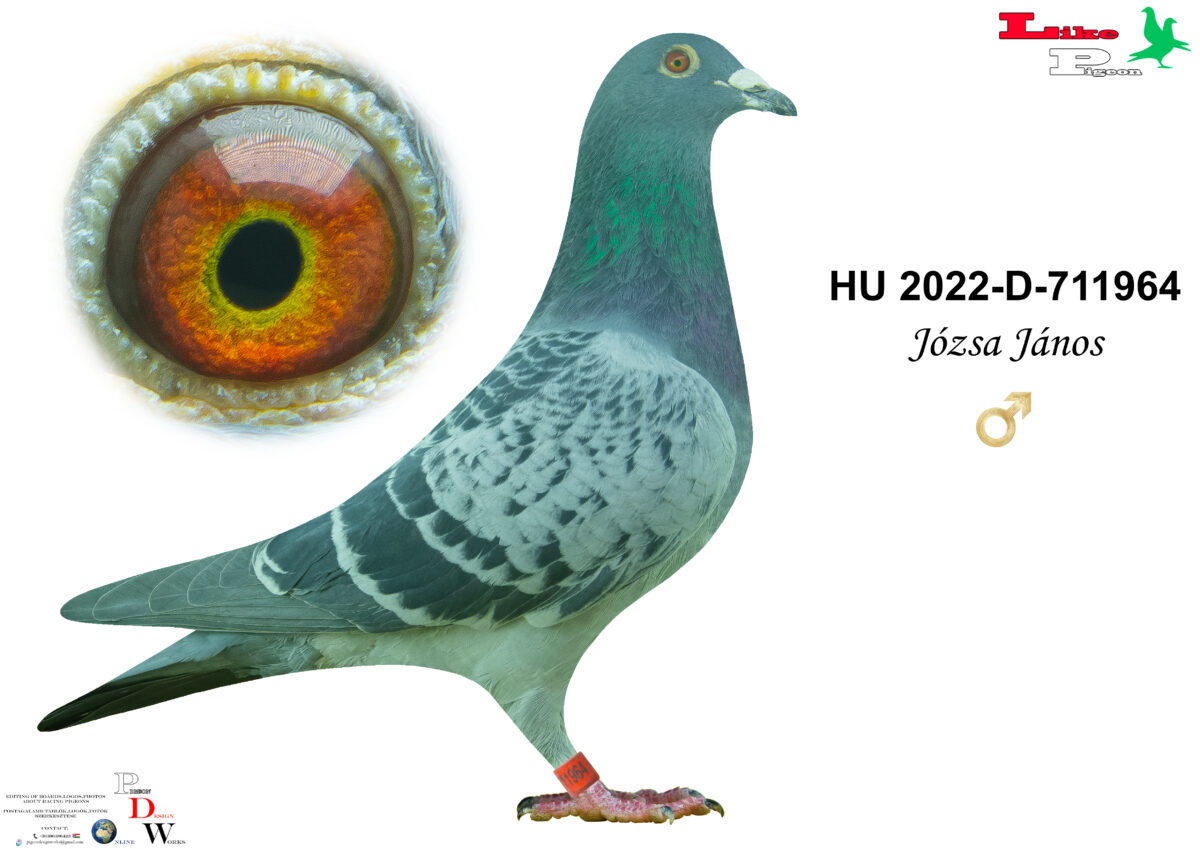 HU-2022-D-711964 H Józsa János