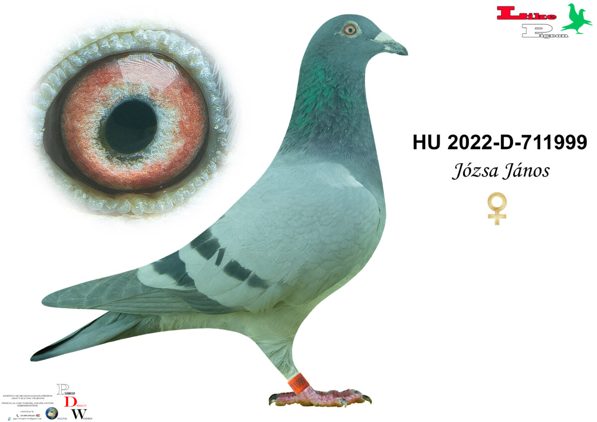 HU-2022-D-711999 T Józsa János